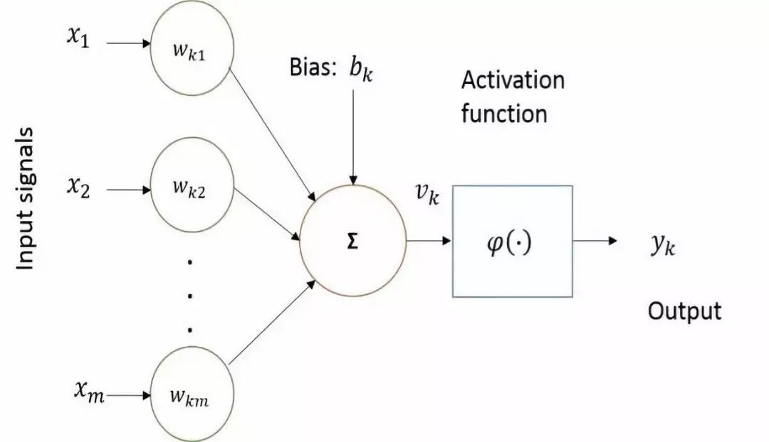 Introduction to Deep Learning Models: CNN and RNN