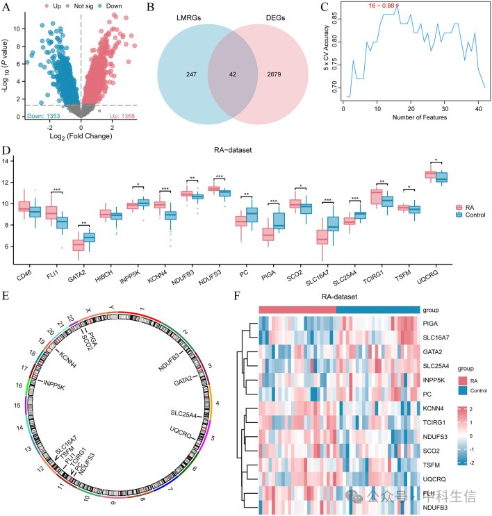 Integrating Bioinformatics and Machine Learning to Unveil Lactate Metabolism and Rheumatoid Arthritis Connection