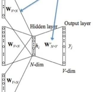 How Word2Vec Generates Word Vectors