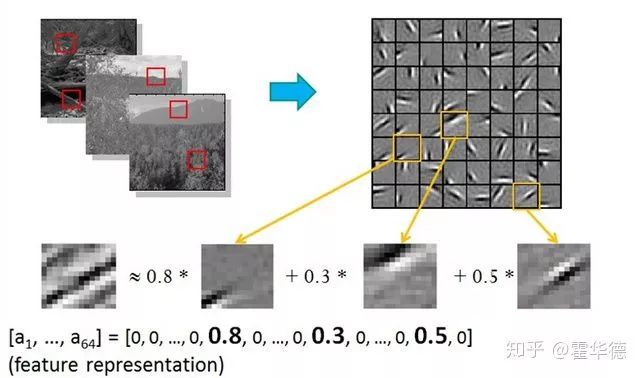 The Slower Development of NLP Compared to CV