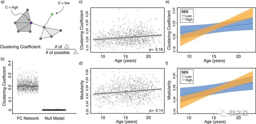 Cerebral Cortex: The Relationship Between Brain Development and Environment