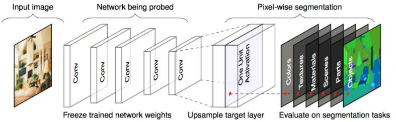 MIT Research Unveils Insights into Neural Network Processes