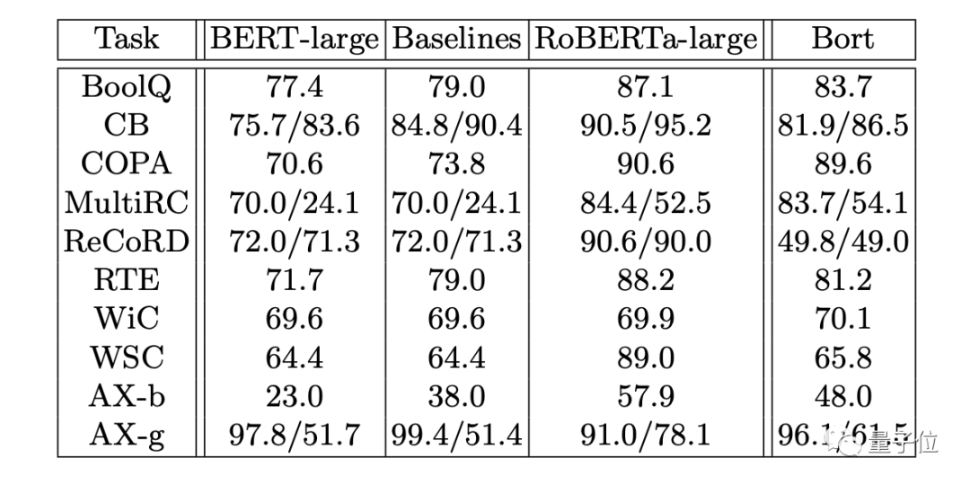 BERT Lightweight: Optimal Parameter Subset Bort at 16% Size