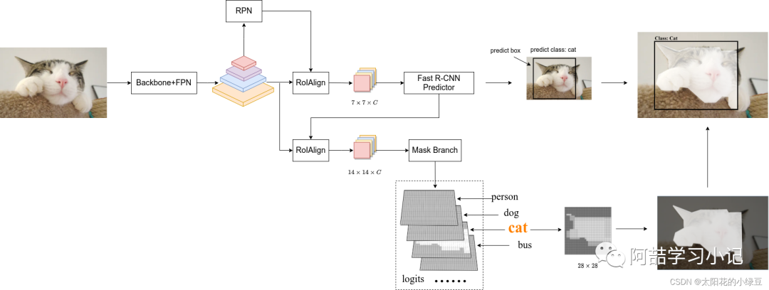 Introduction to Mask R-CNN Network