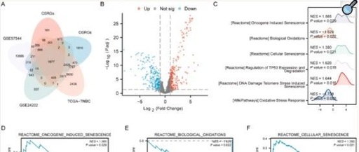 Comprehensive Analysis of OSCSRDEGs in TNBC