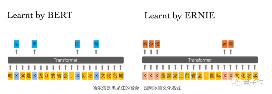 Comparative Evaluation of BERT and ERNIE in NLP