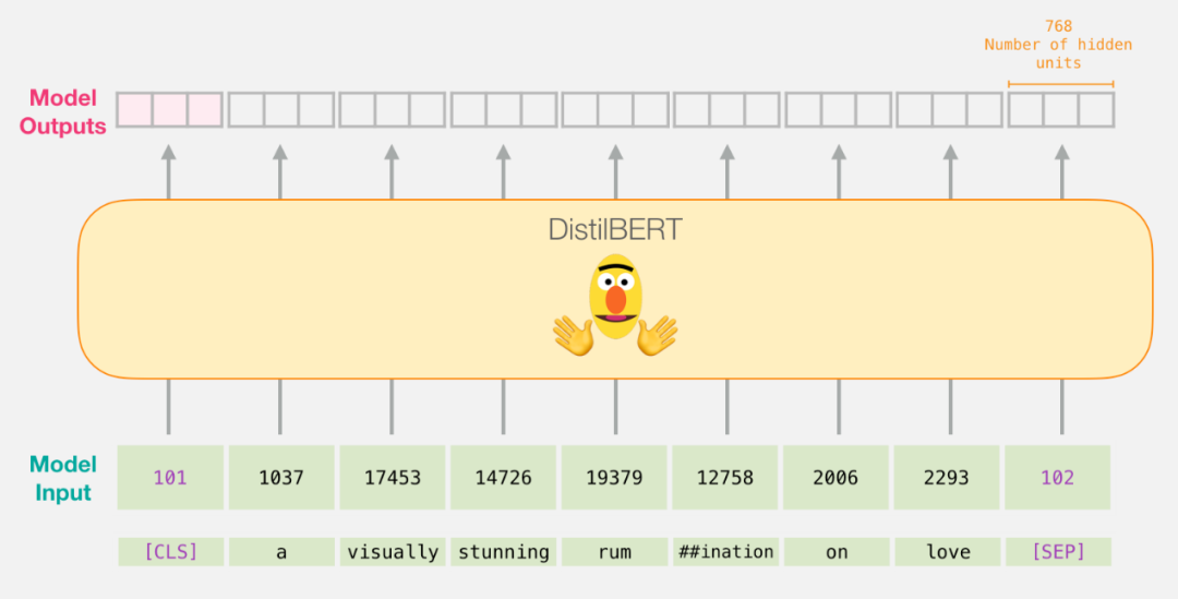 Step-By-Step Guide to Sentence Classification Using BERT