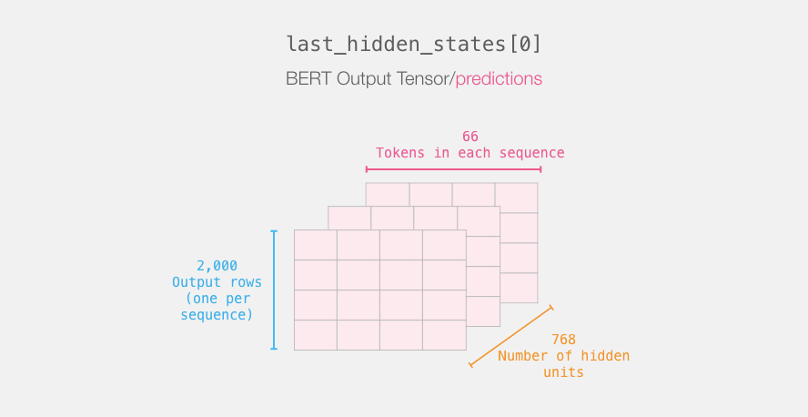 BERT Model: A Quick Start Guide