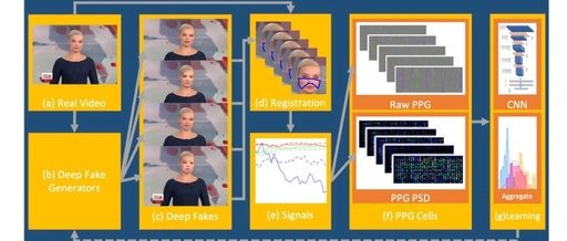 DeepFake Detection Using Heartbeat Signals