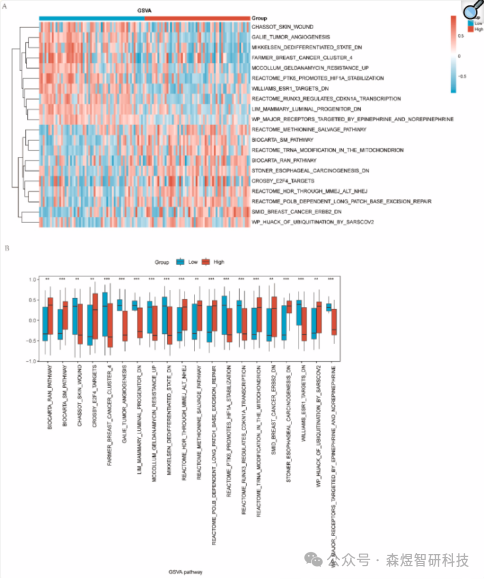 Comprehensive Analysis of OSCSRDEGs in TNBC