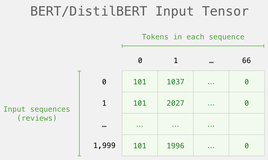 Step-By-Step Guide to Sentence Classification Using BERT