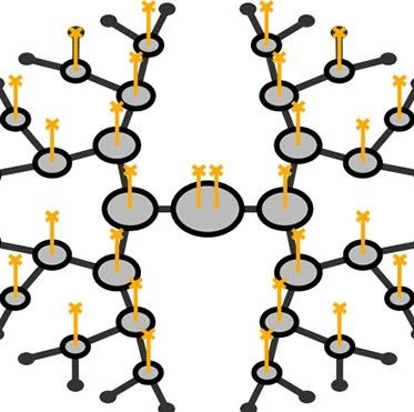 Progress in Neural Network Renormalization Group