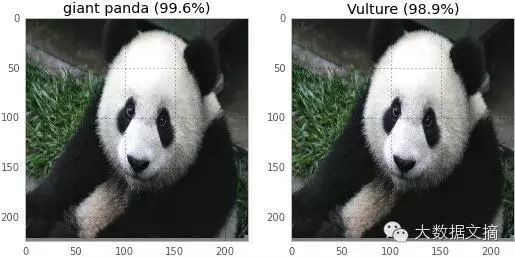 How to Deceive Neural Networks to Recognize Pandas as Vultures