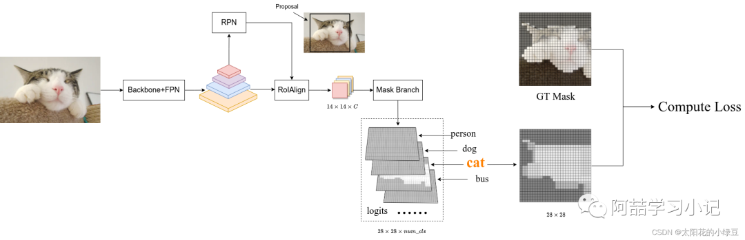 Introduction to Mask R-CNN Network