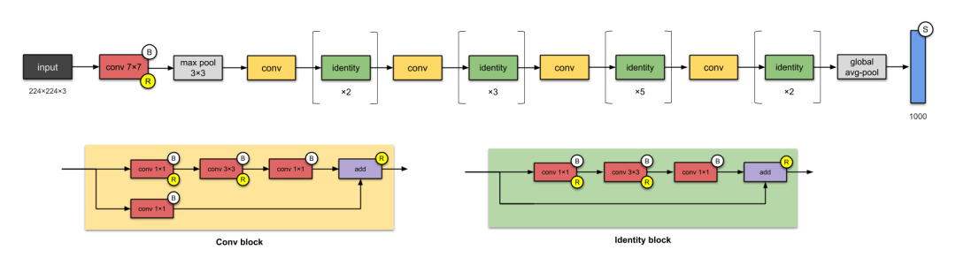 Illustrated Overview of 10 Major CNN Architectures