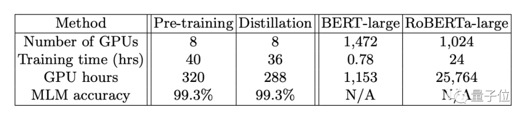 BERT Lightweight: Optimal Parameter Subset Bort at 16% Size