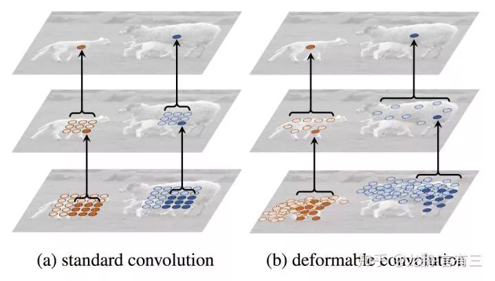 Bold and Innovative Neural Network Structures in CNN