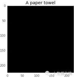 How to Deceive Neural Networks to Recognize Pandas as Vultures