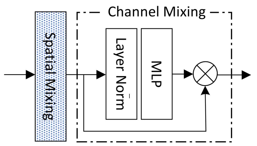 The Battle of Three Neural Network Structures: CNN, Transformer, and MLP