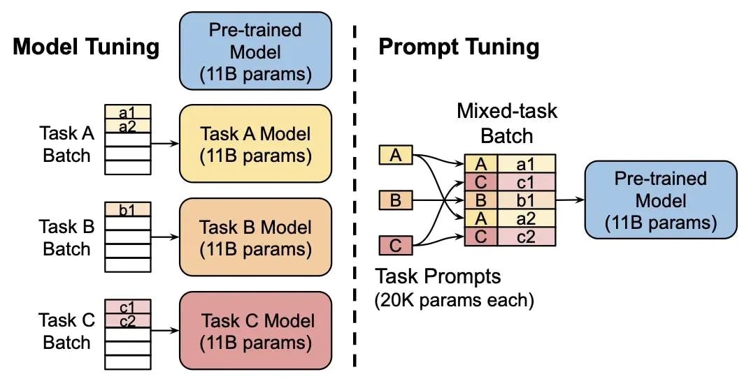 Understanding Fine-Tuning of Neural Network Models