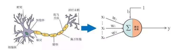 AI Introduction to BP Neural Network Algorithm Derivation and Implementation