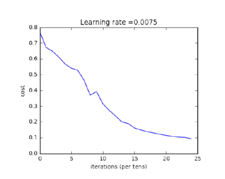 302 Page Notes on Andrew Ng's Deeplearning.ai Course: Key Concepts and Code