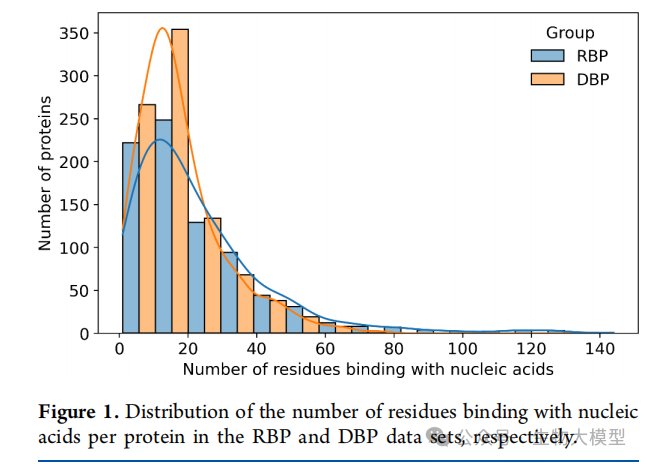 Innovative Application of Nested Transformer Model in Protein-Nucleic Acid Binding Site Prediction