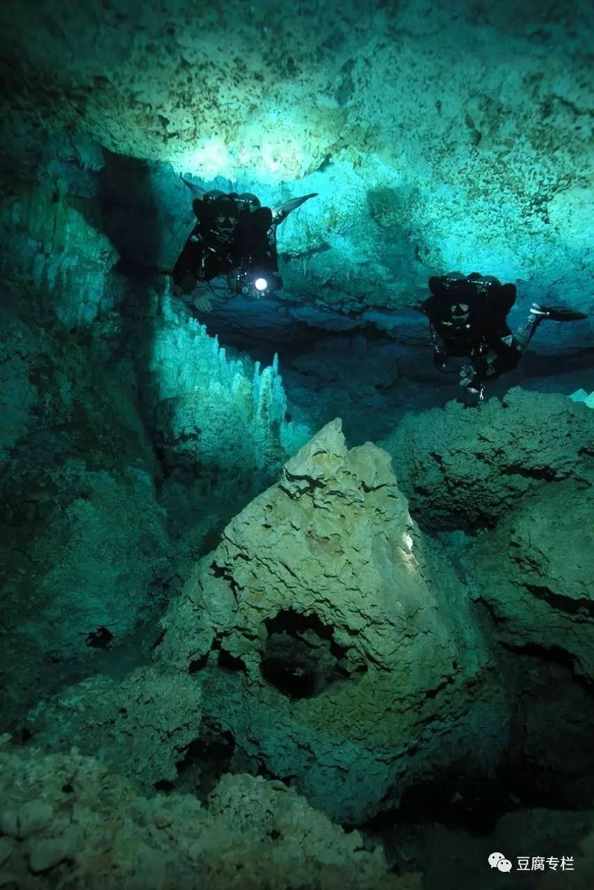 Diving with the Explorer: A Cave Diving Journey in Mexico