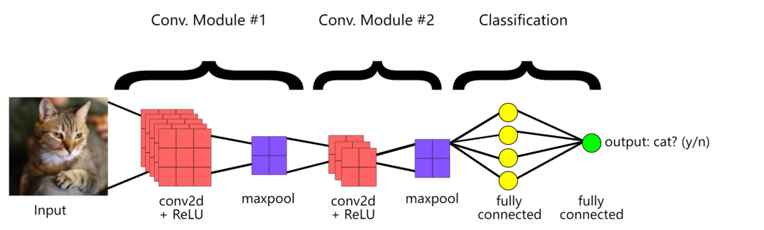 Why Bigger Neural Networks Are Better: A NeurIPS Study