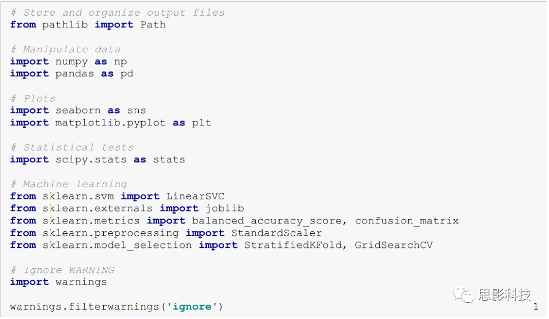 Step-by-Step Tutorial for Brain Imaging ML Models