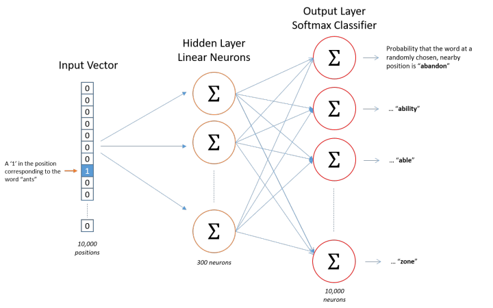 Understanding Word2Vec's Skip-Gram Model