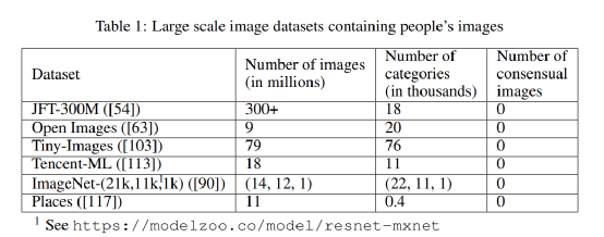 The Pyrrhic Victory of Computer Vision: Reflections on Large Image Datasets