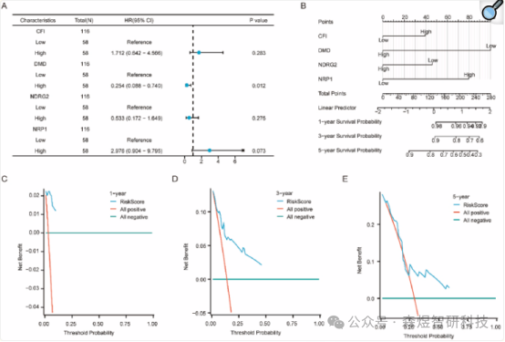 Comprehensive Analysis of OSCSRDEGs in TNBC