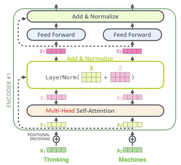 Understanding Transformer Architecture and Attention Mechanisms