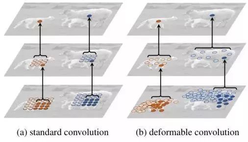 Bold and Innovative Neural Network Structures in CNN