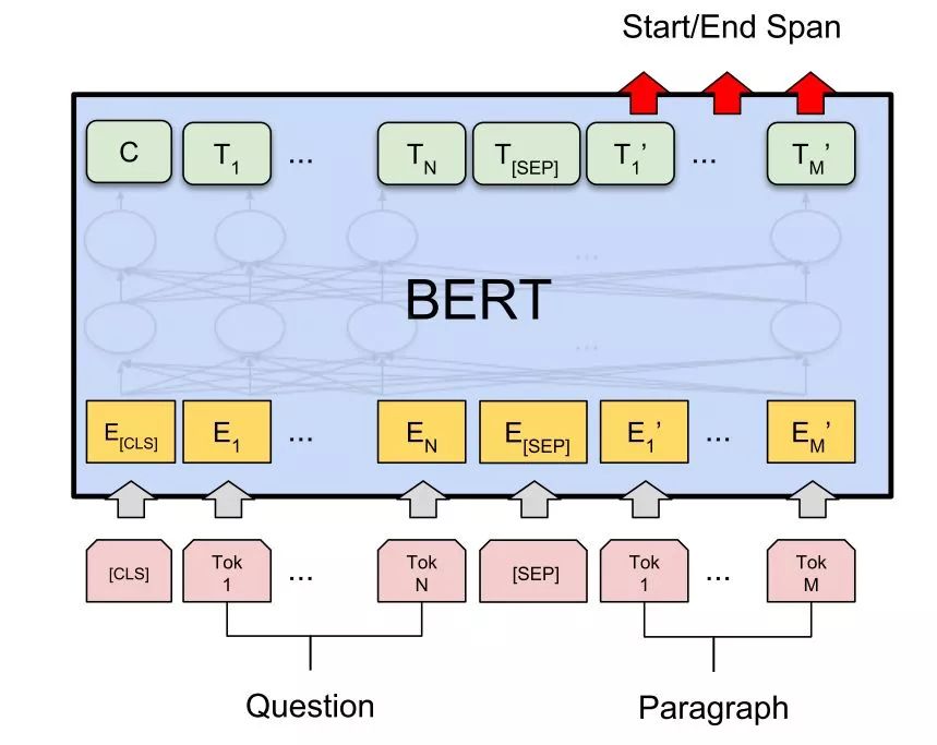 The Art of Fine-Tuning BERT