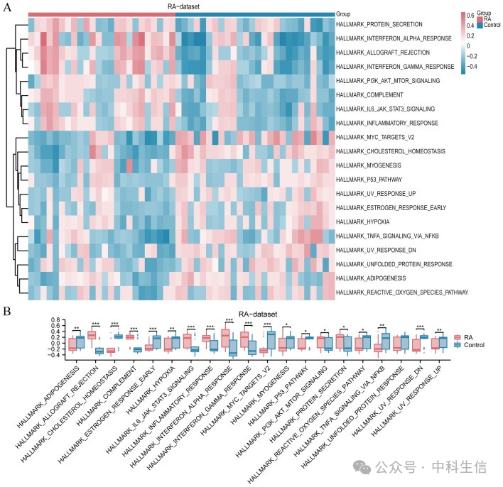 Integrating Bioinformatics and Machine Learning to Unveil Lactate Metabolism and Rheumatoid Arthritis Connection