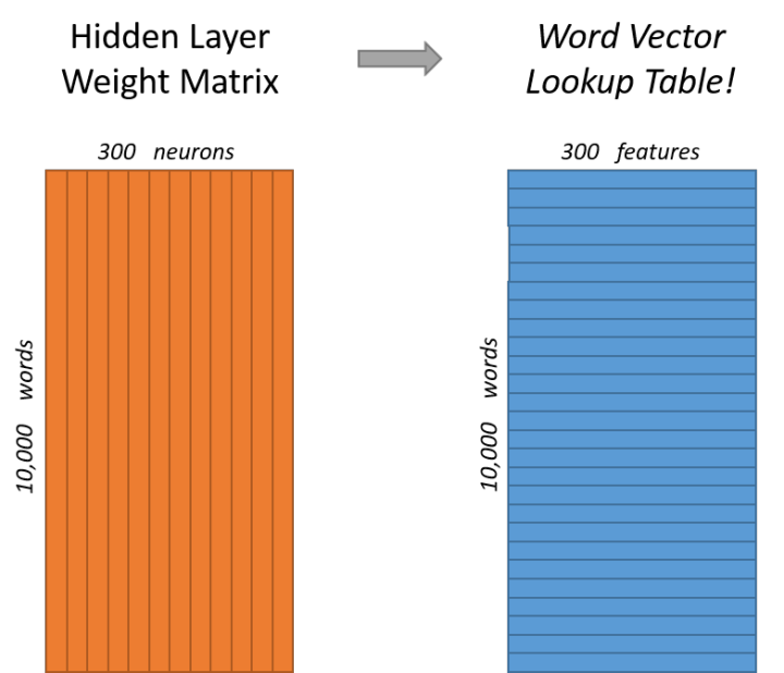 Understanding Word2Vec's Skip-Gram Model