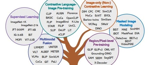 Overview of Multimodal Large Models