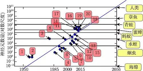 The Development History of Deep Learning