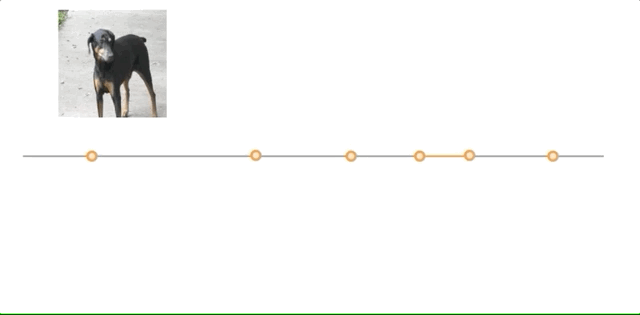 Visual Explanation History of Image Recognition