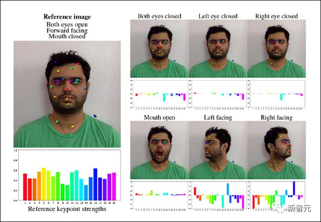 NVIDIA's Implicit Warping: A Breakthrough in DeepFake Technology