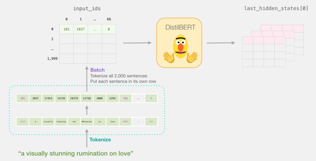 BERT Model: A Quick Start Guide