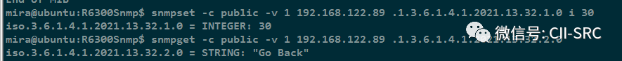 OpenWRT Vulnerability Exploration and SNMP Analysis