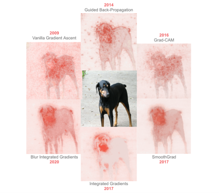 Visual Explanation History of Image Recognition