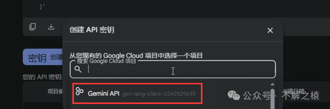 Using Google Gemini Model in China: A Step-by-Step Guide