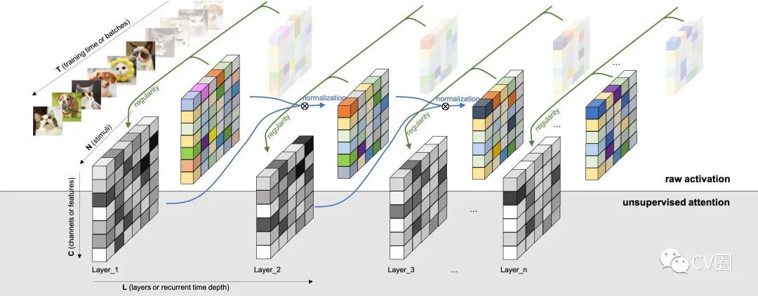 Current Research Status of Attention Mechanisms