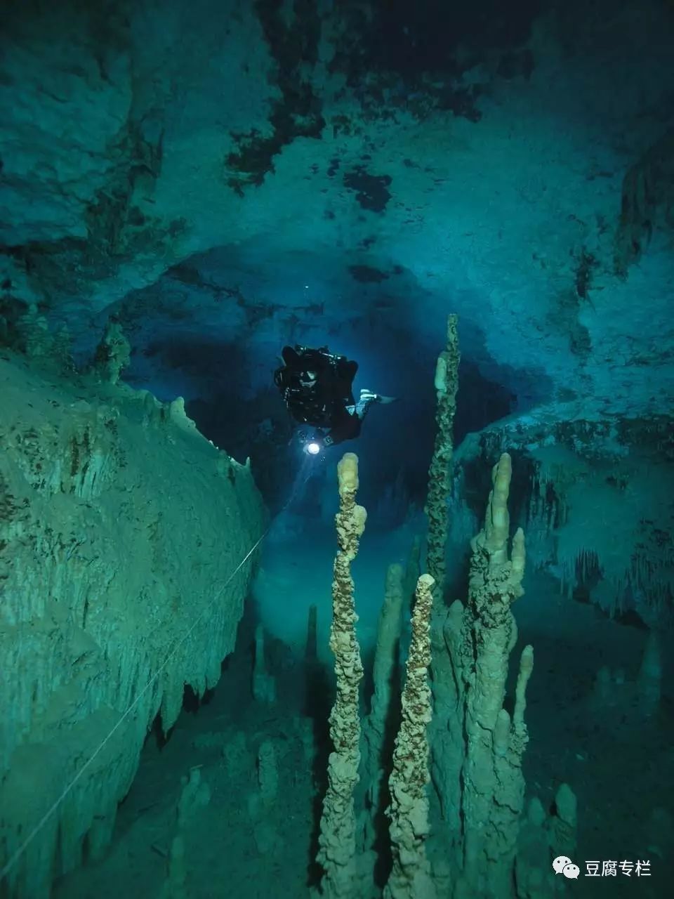 Diving with the Explorer: A Cave Diving Journey in Mexico