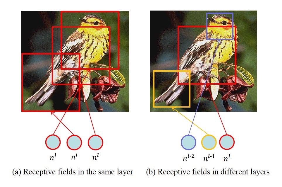 An In-Depth Introduction to Attention Mechanism in CV