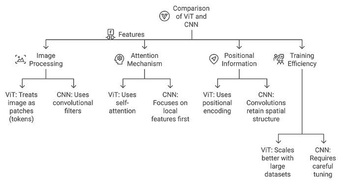 Practical Guide to Object Detection Using Vision Transformer